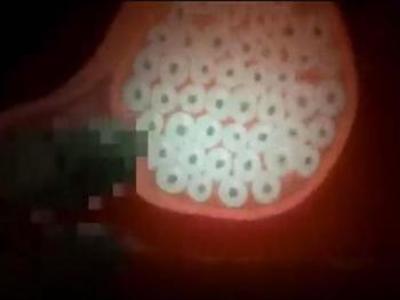 Thumbnail of post image 115